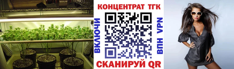 как найти   Шилка  ТГК жижа 